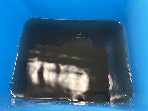 C0003870
