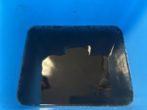 C0005133