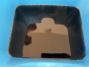C0006399