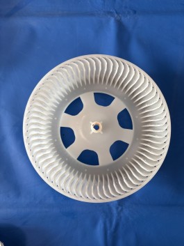 C0011011