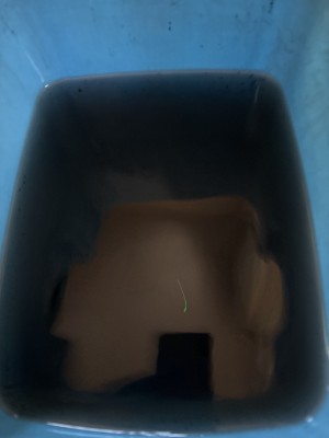 C0011151