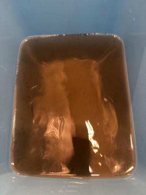 C0011470