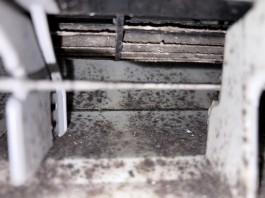 IMG_3566