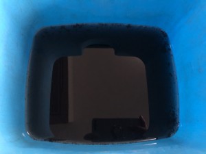 C0000795