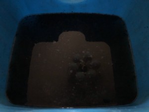 C0001020