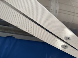 C0003048
