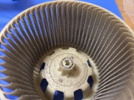 C0003403