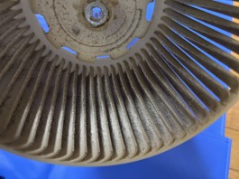 C0003404