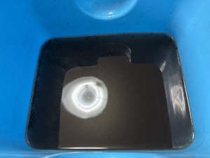 C0003660