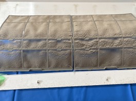 C0004601
