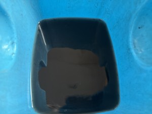 C0004612