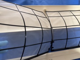 C0004627