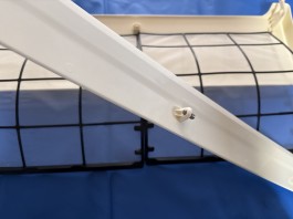 C0004628