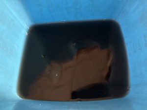 C0004634