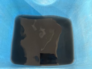 C0004751