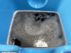 C0004764