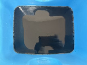 C0005902