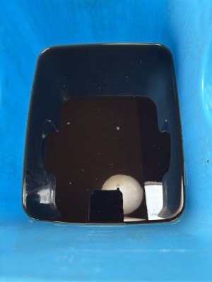 C0014150