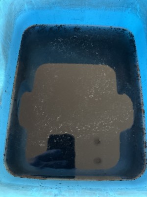 C0014194