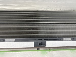 IMG_0755