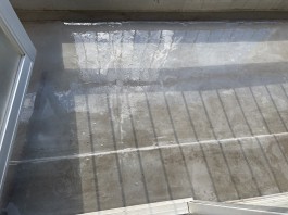 C0009088