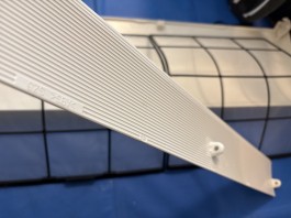 C0007489