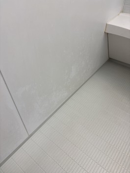 C0012156