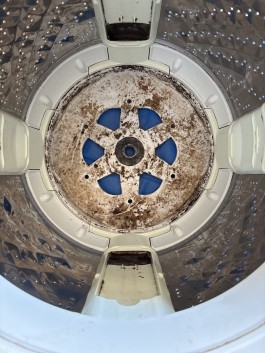 C0015291